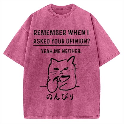 Cats Don't Accept Opinions Vintage Washed T-shirt