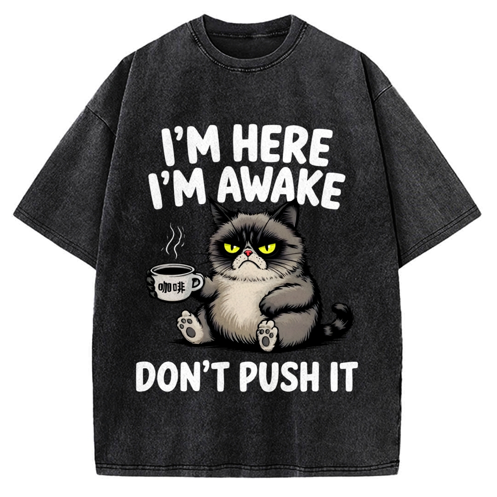 Tired Cat Vintage Washed T-shirt