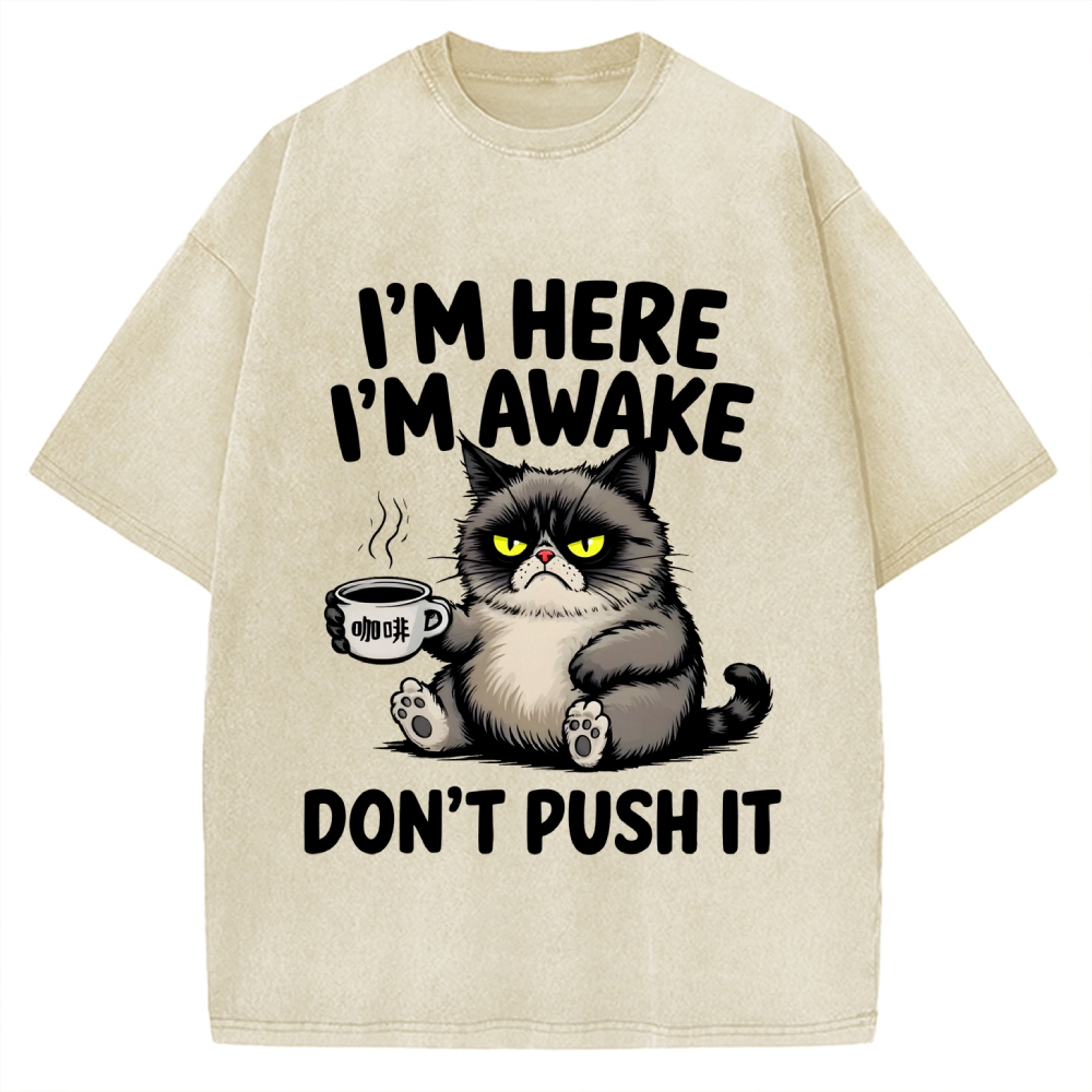 Tired Cat Vintage Washed T-shirt
