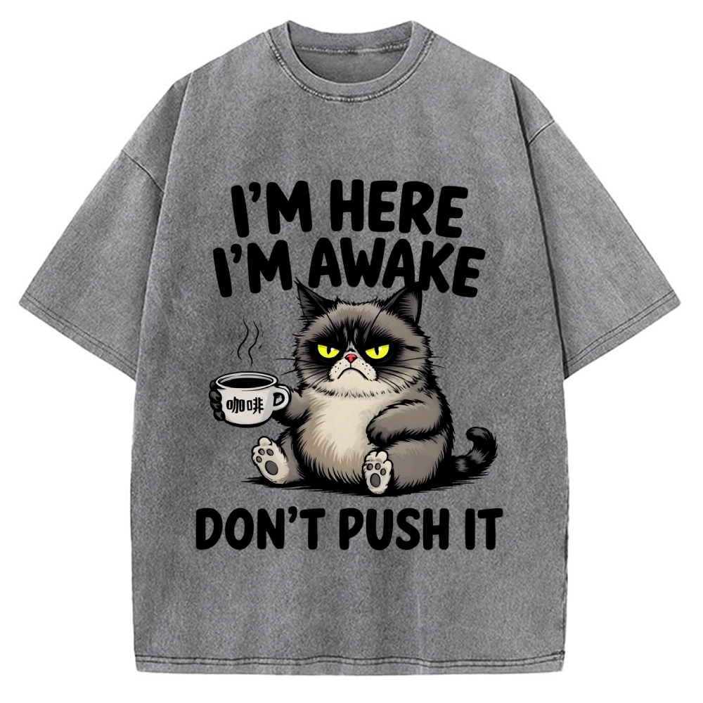 Tired Cat Vintage Washed T-shirt