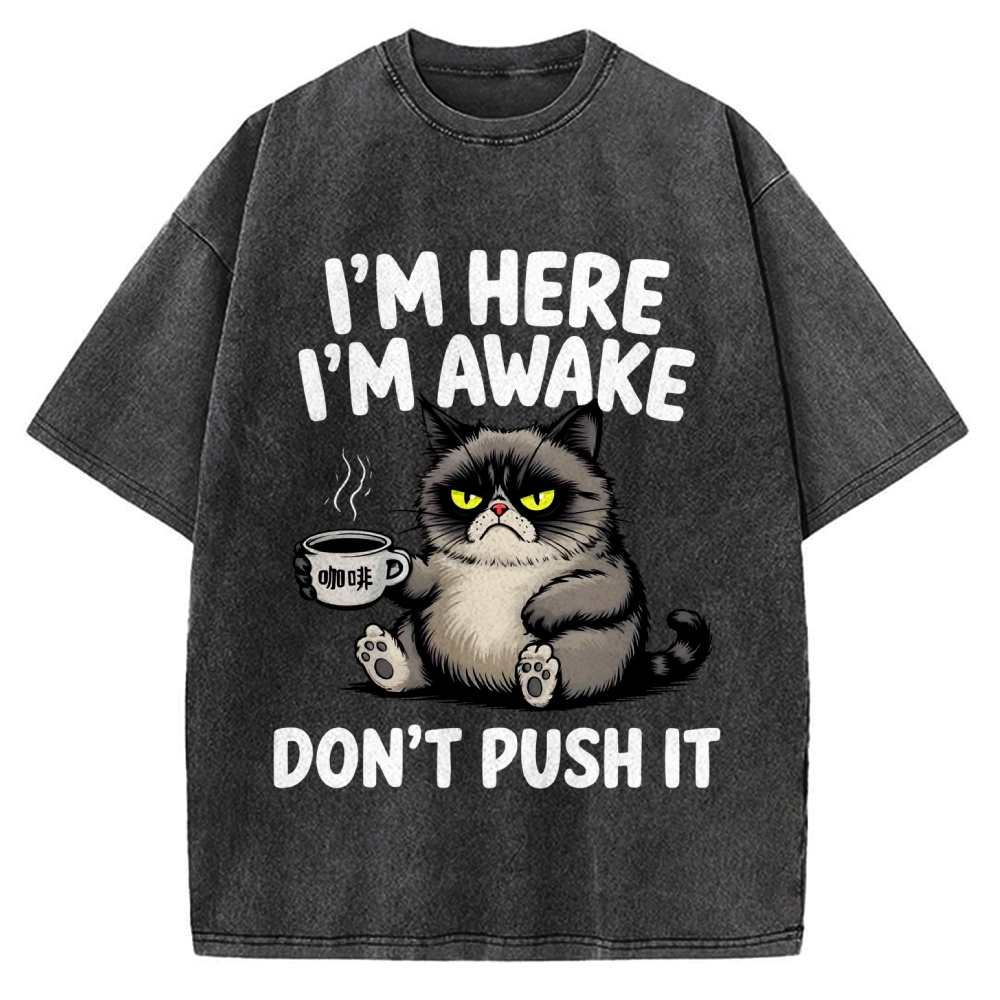 Tired Cat Vintage Washed T-shirt