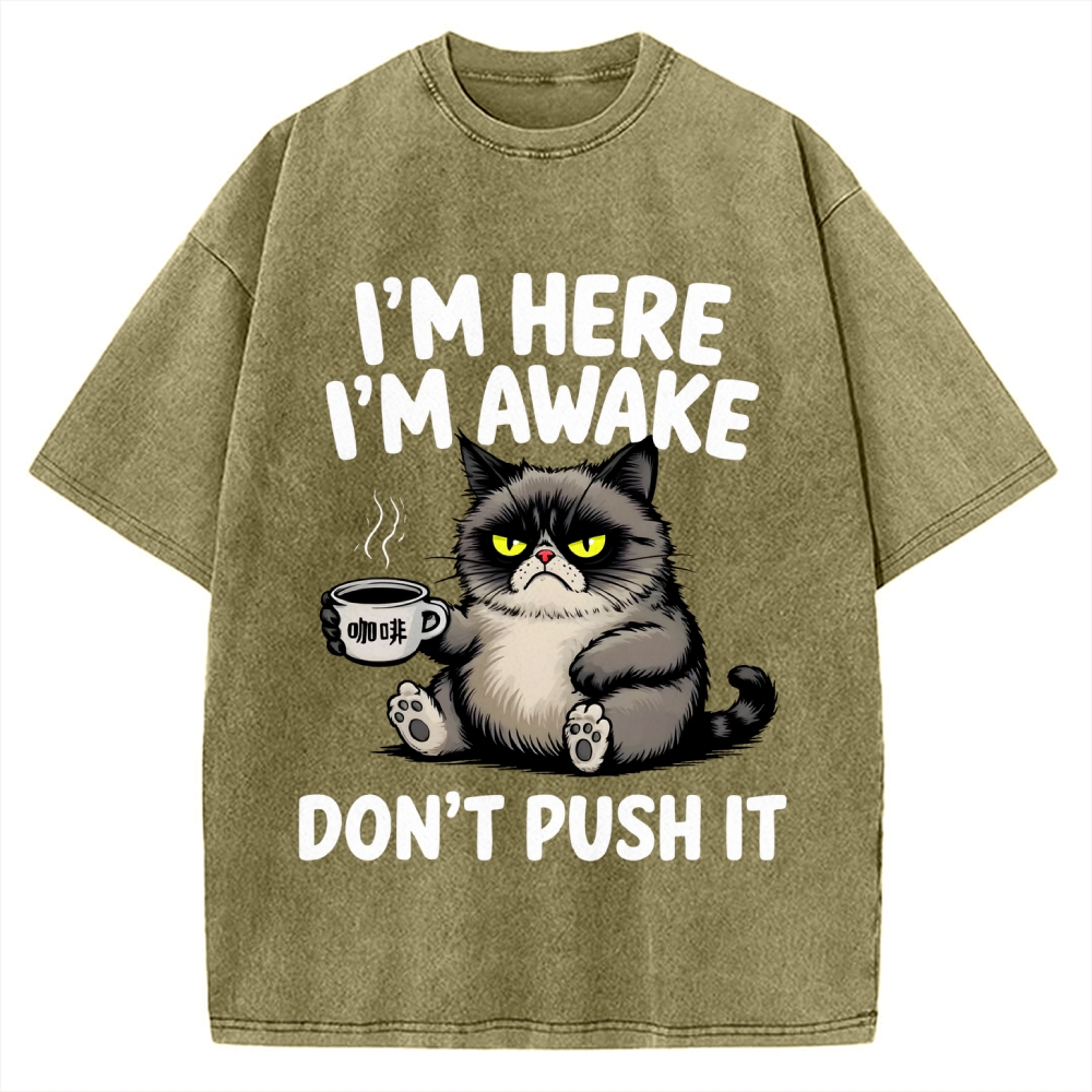 Tired Cat Vintage Washed T-shirt