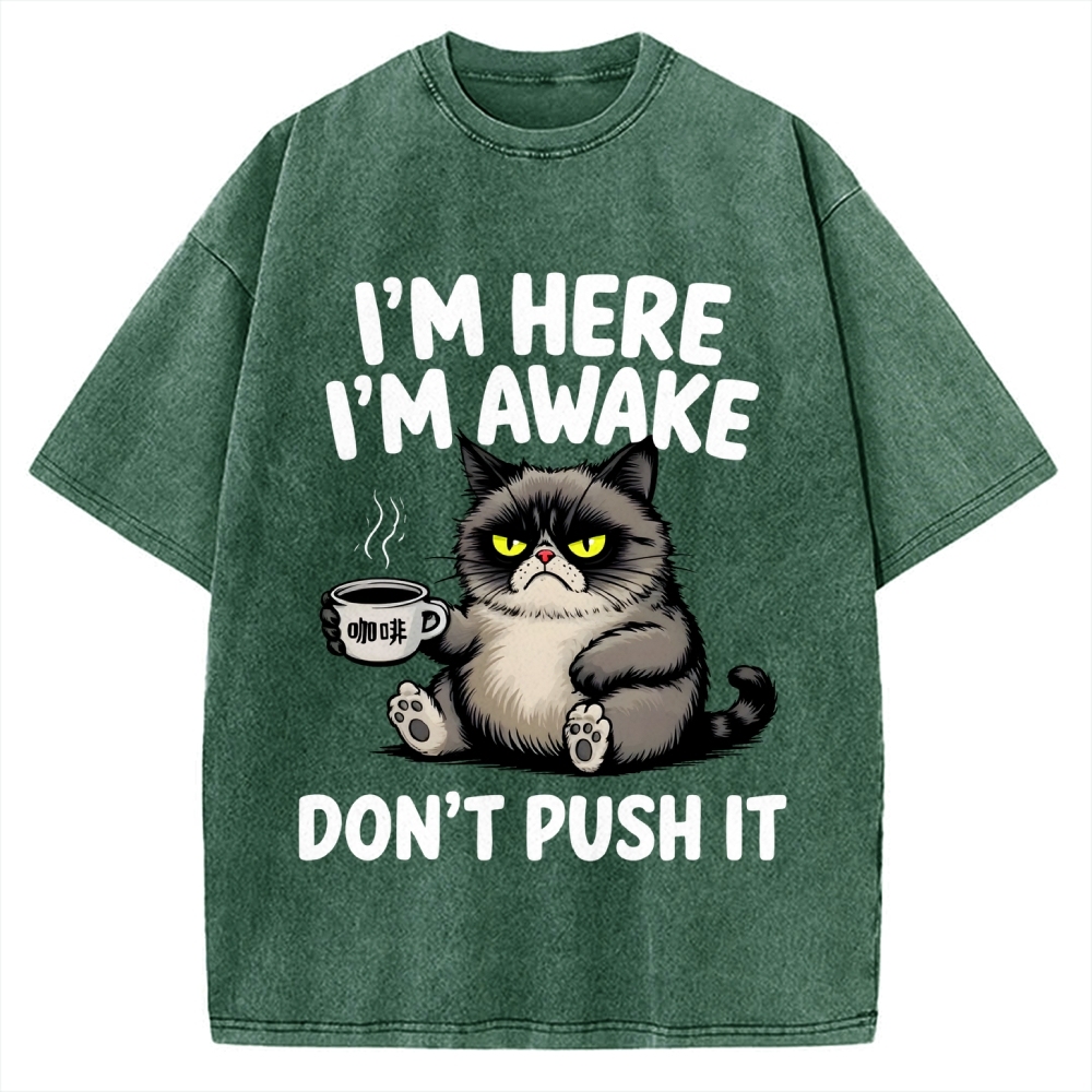 Tired Cat Vintage Washed T-shirt