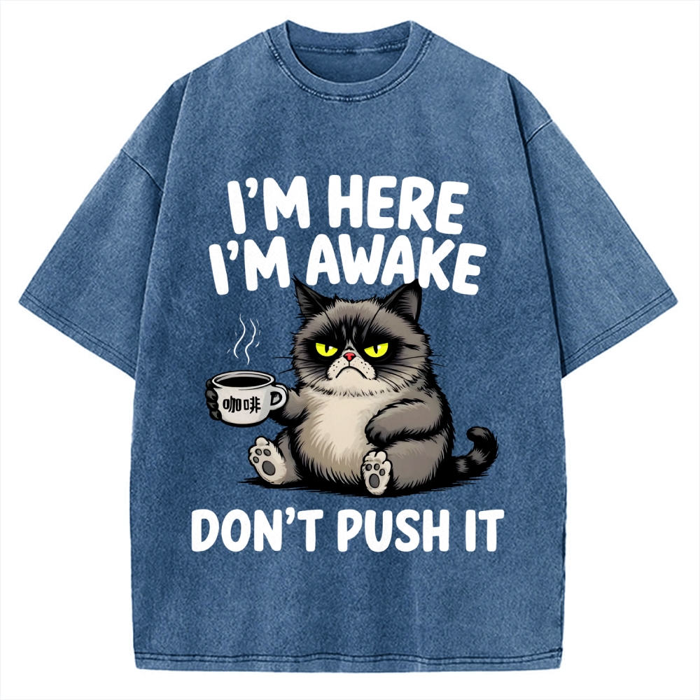 Tired Cat Vintage Washed T-shirt