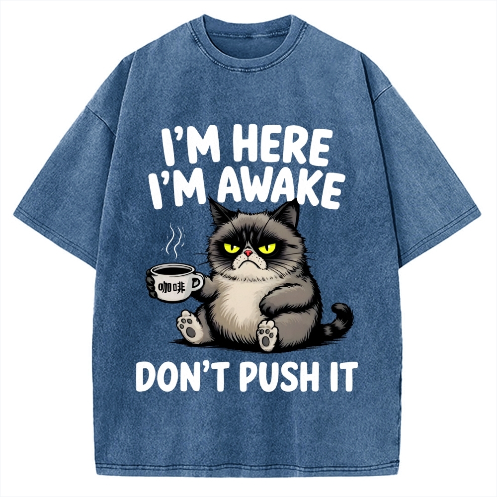 Tired Cat Vintage Washed T-shirt