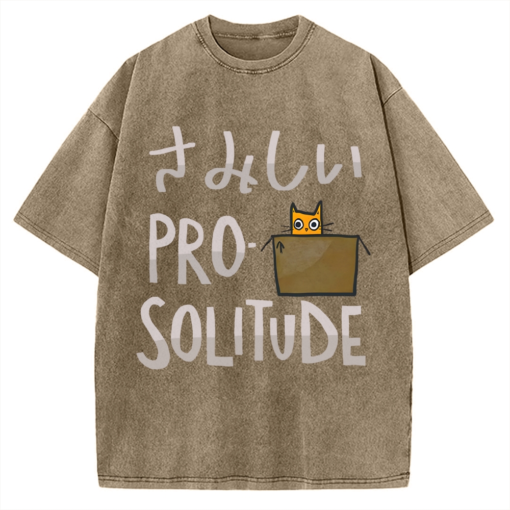 Stand for Solitude Vintage Washed T-shirt