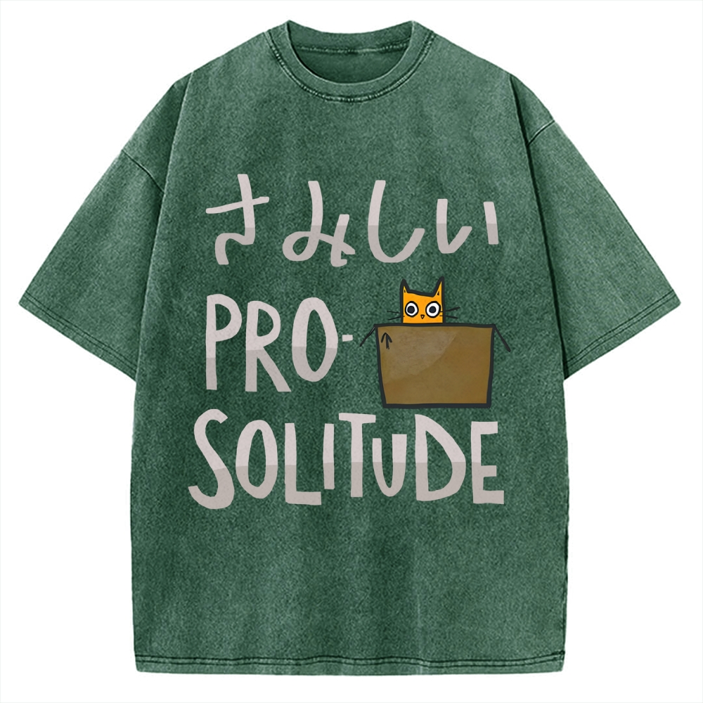 Stand for Solitude Vintage Washed T-shirt