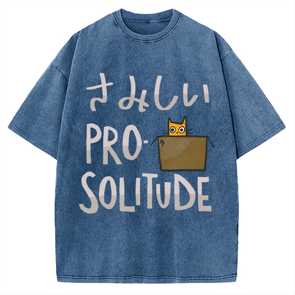 Stand for Solitude Vintage Washed T-shirt