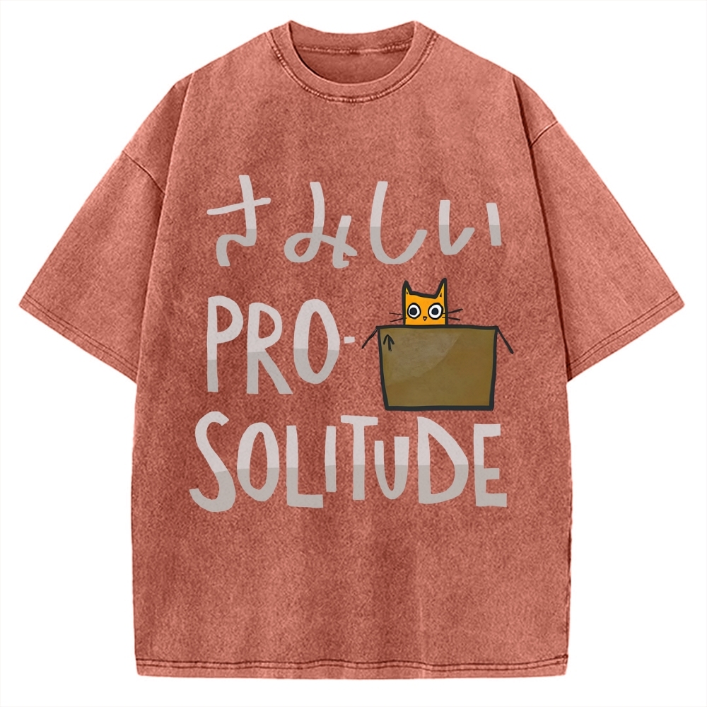 Stand for Solitude Vintage Washed T-shirt