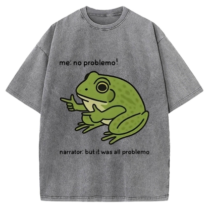 Frog Me No Problemo Narrator But It Was All Problemo Vintage Washed T-shirt