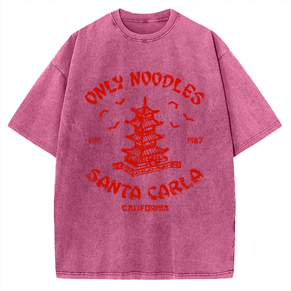 Only Noodles Santa Carla Vintage Washed T-shirt