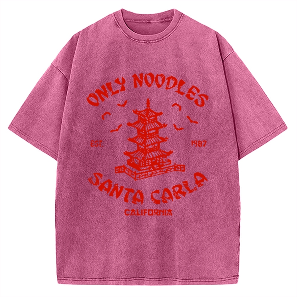 Only Noodles Santa Carla Vintage Washed T-shirt