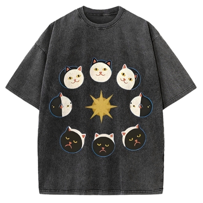 Van Gogh Cat Vintage Washed T-shirt