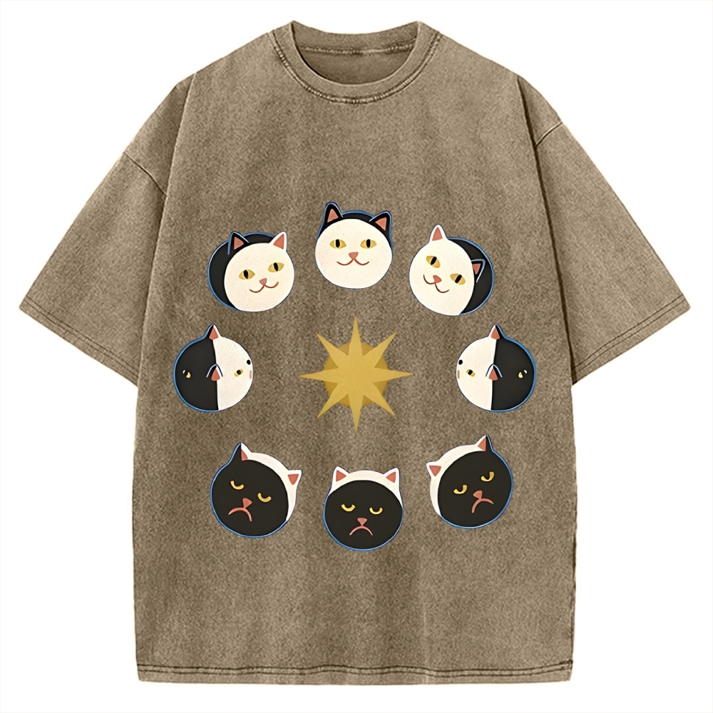Van Gogh Cat Vintage Washed T-shirt