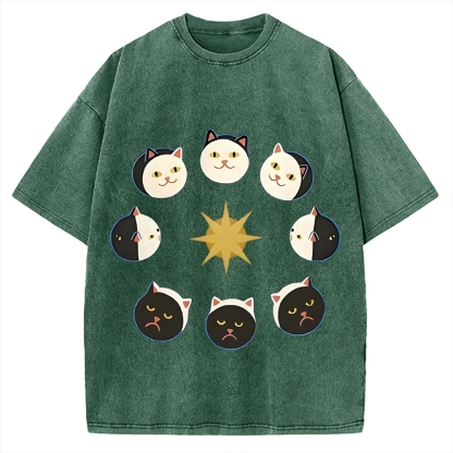 Van Gogh Cat Vintage Washed T-shirt