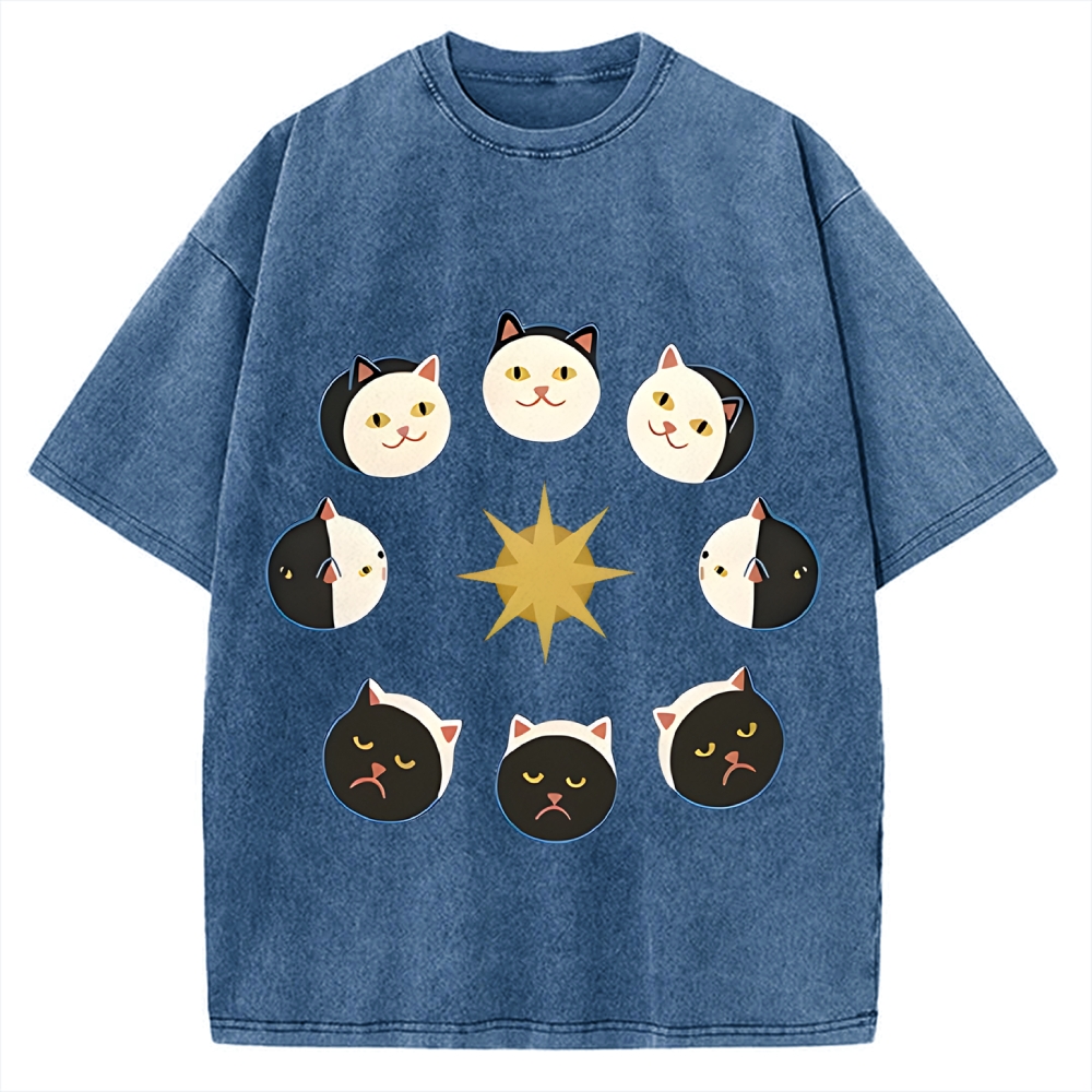 Van Gogh Cat Vintage Washed T-shirt