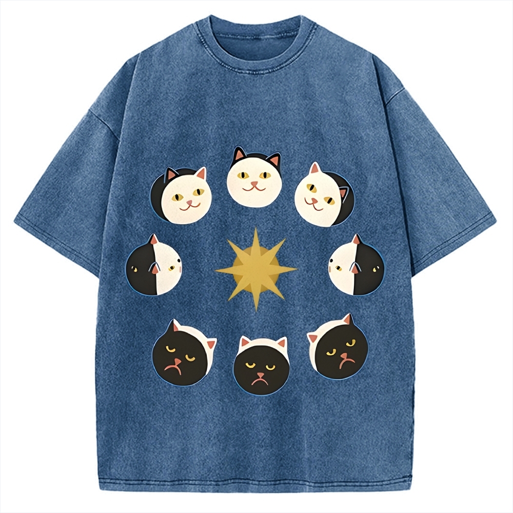 Van Gogh Cat Vintage Washed T-shirt