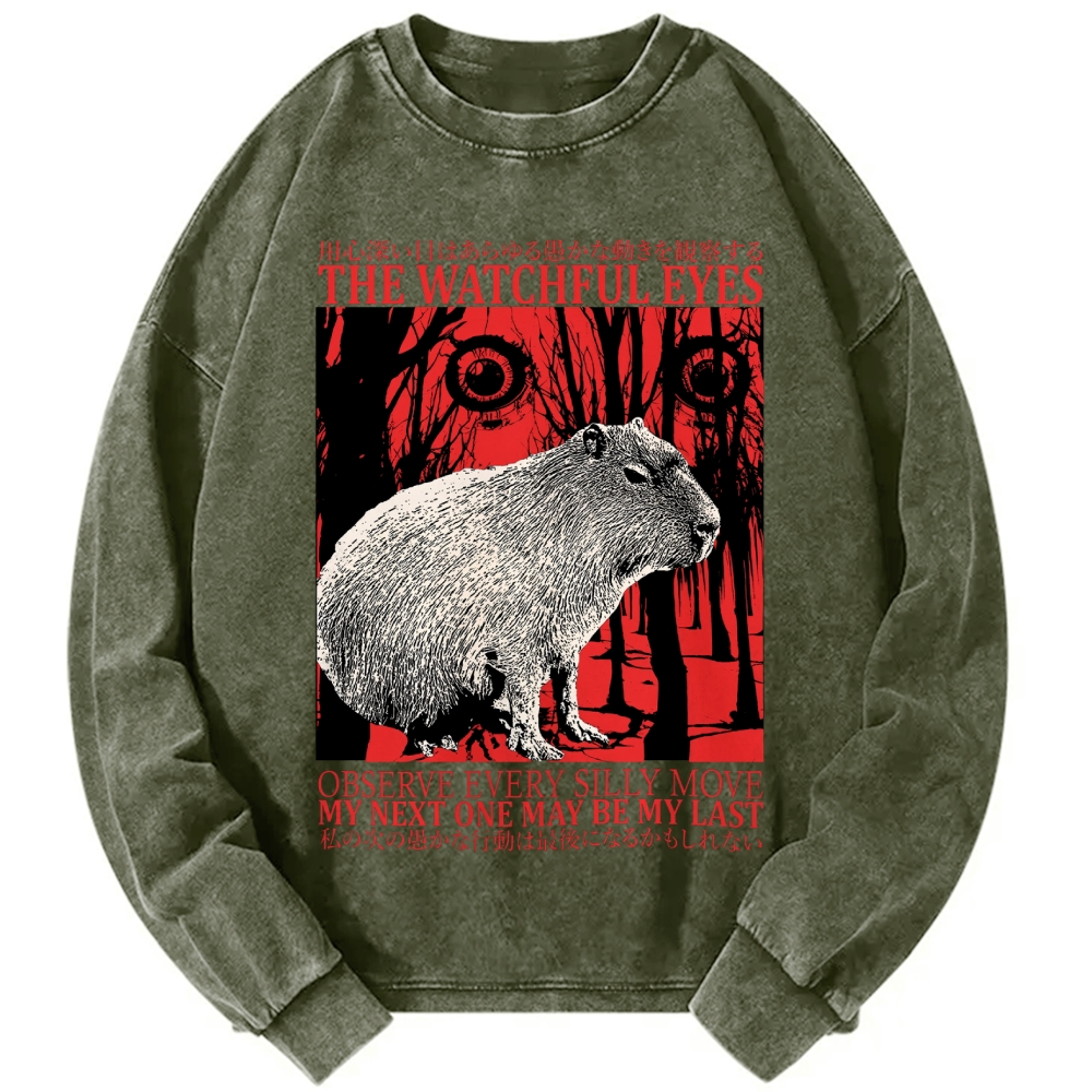 The Watchful Eyes Capybara Vintage Washed Sweatshirts