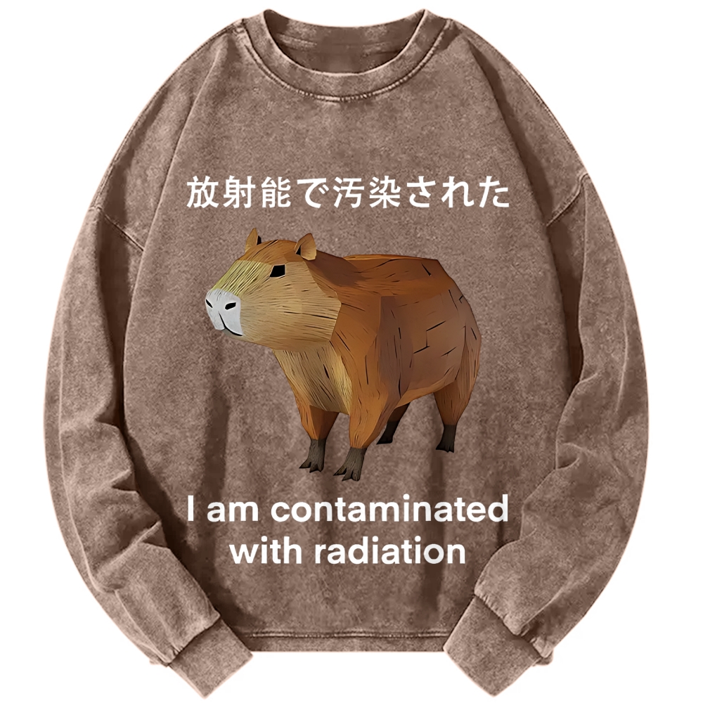 Tokyo-Assassin Capybara Contaminated By Radiation Vintage Washed Sweatshirts