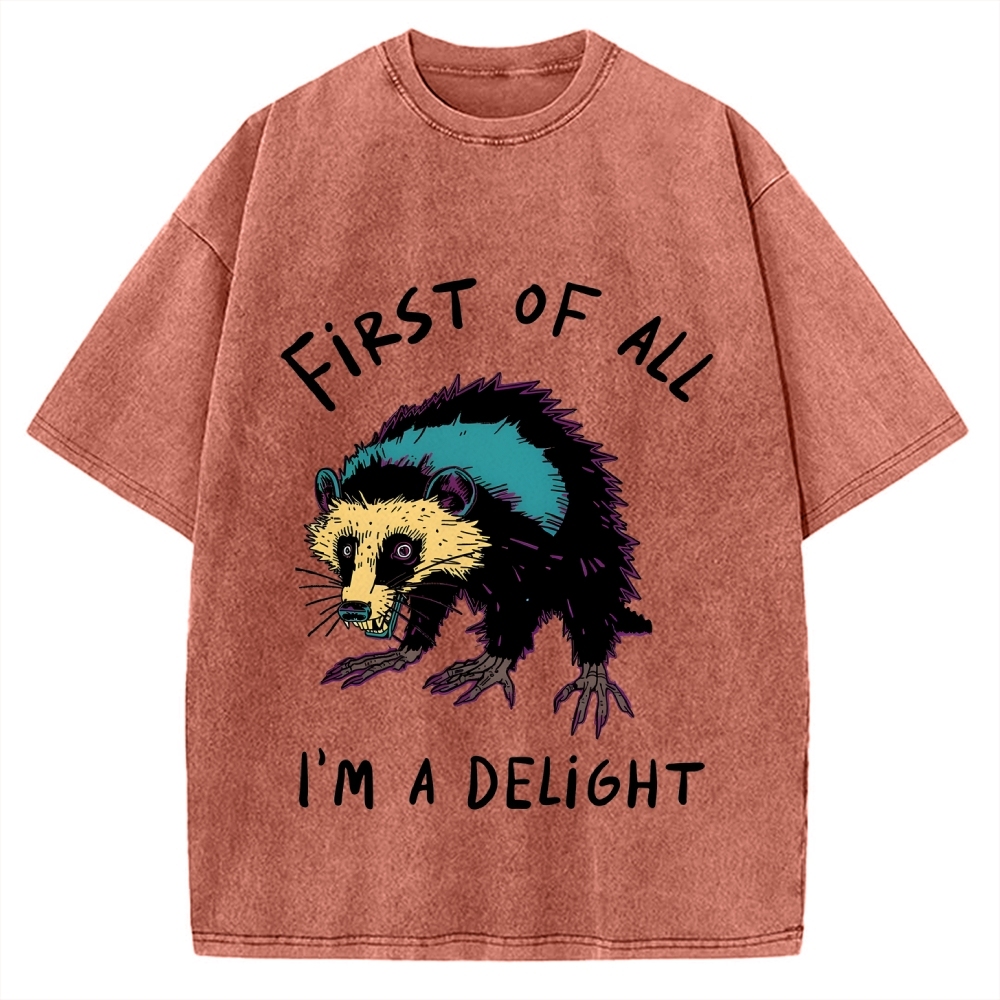 Funny opossum angry im a delight Vintage Washed T-shirt