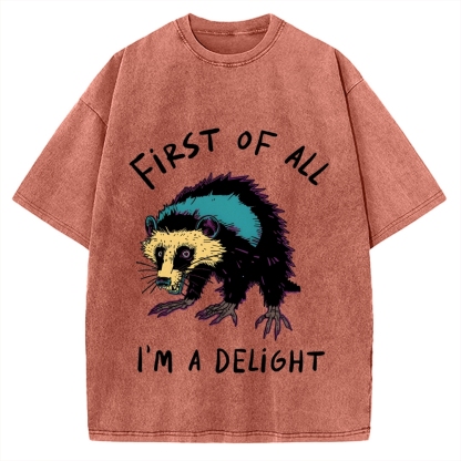 Funny opossum angry im a delight Vintage Washed T-shirt
