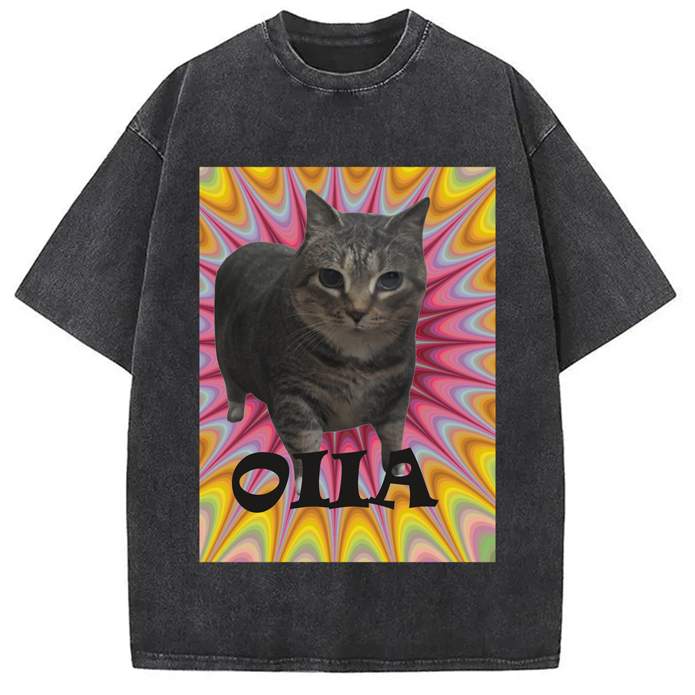 Tokyo-Assassin Oiia Cat Meme Washed T-Shirt-Tokyo-Assassin