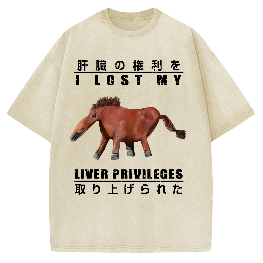 I Lost My Liver Privileges Vintage Washed T-shirt