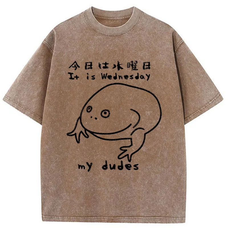 Tokyo-Assassin Today Is Wednesday Washed T-Shirt-Tokyo-Assassin