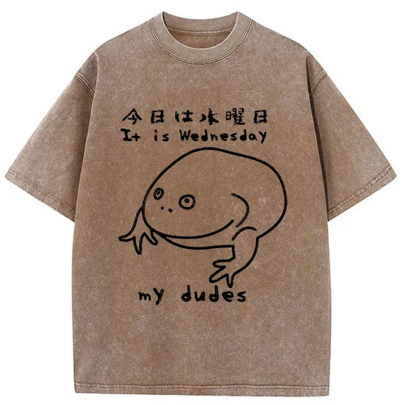 Tokyo-Assassin Today Is Wednesday Washed T-Shirt-Tokyo-Assassin