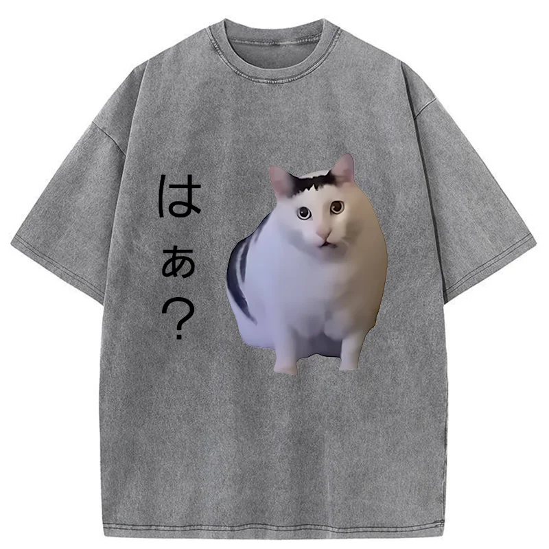 Tokyo-Assassin Suspicious Funny Cat Washed T-Shirt-Tokyo-Assassin