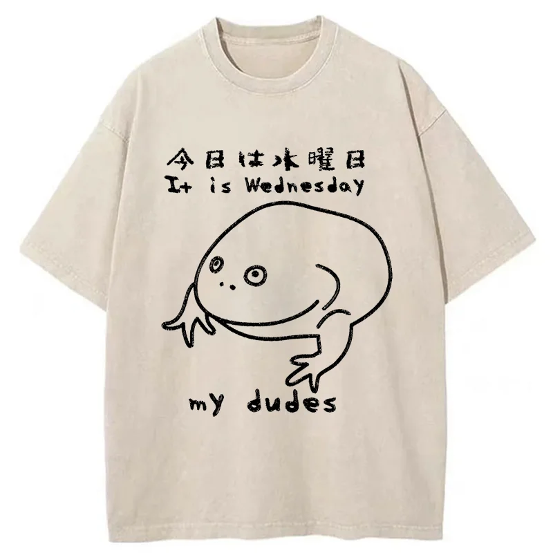 Tokyo-Assassin Today Is Wednesday Washed T-Shirt-Tokyo-Assassin