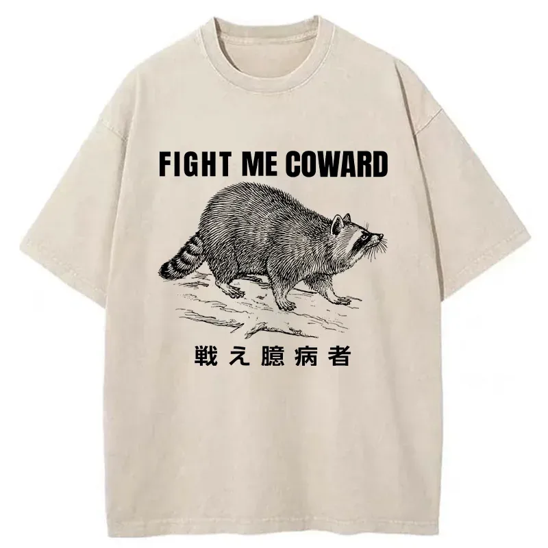 Tokyo-Assassin Fight Raccoon Japanese Washed T-Shirt-Tokyo-Assassin