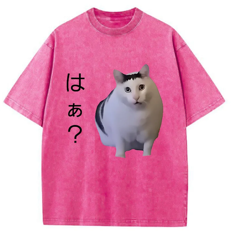 Tokyo-Assassin Suspicious Funny Cat Washed T-Shirt-Tokyo-Assassin