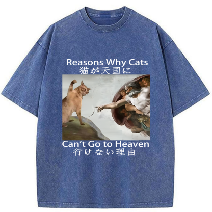 Tokyo-Assassin Naughty Cat Can't Go To Heaven Washed T-Shirt-Tokyo-Assassin