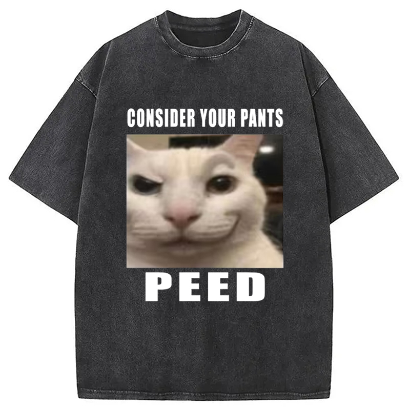 Tokyo-Assassin Consider Your Pants Peed Meme Washed T-Shirt-Tokyo-Assassin