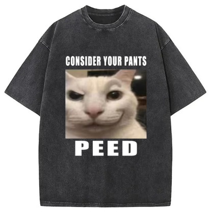 Tokyo-Assassin Consider Your Pants Peed Meme Washed T-Shirt-Tokyo-Assassin
