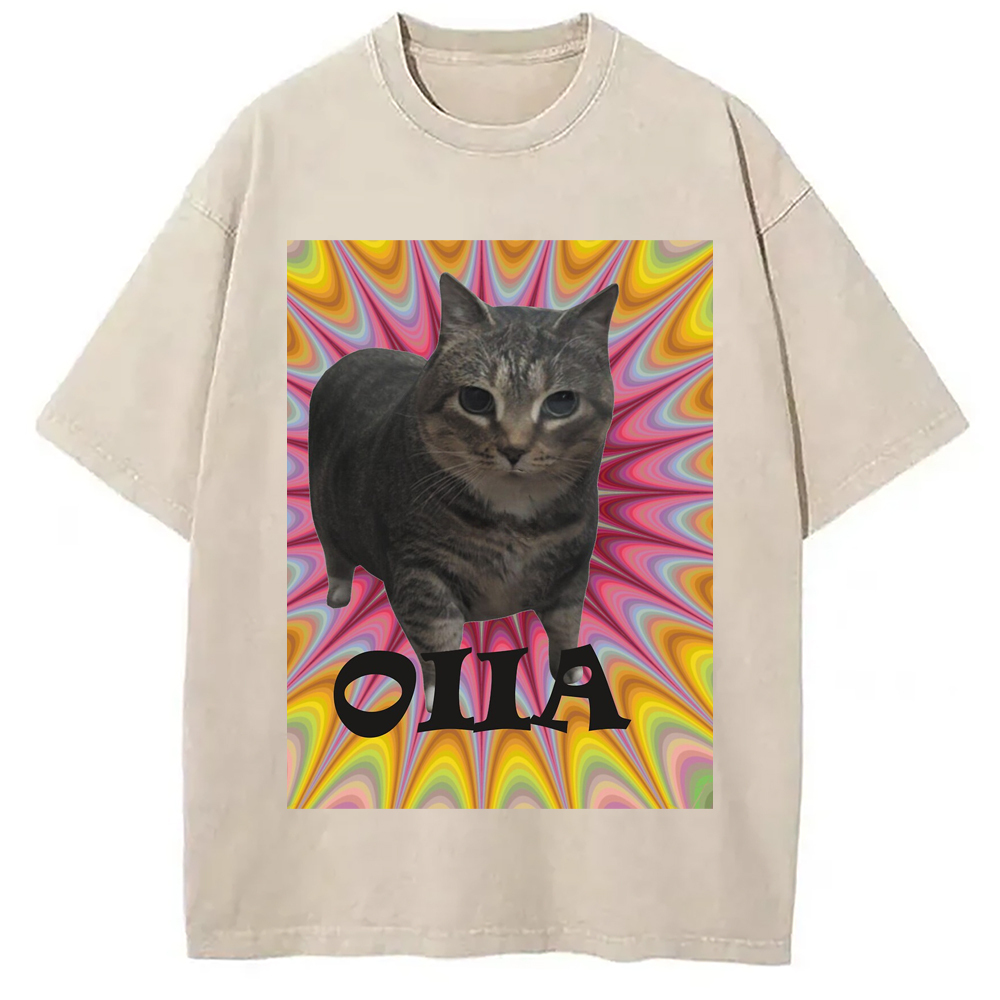 Tokyo-Assassin Oiia Cat Meme Washed T-Shirt-Tokyo-Assassin