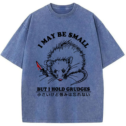 Tokyo-Assassin Mouse Holds A Grudge Funny Washed T-Shirt-Tokyo-Assassin