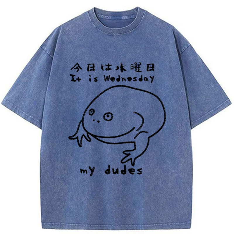 Tokyo-Assassin Today Is Wednesday Washed T-Shirt-Tokyo-Assassin