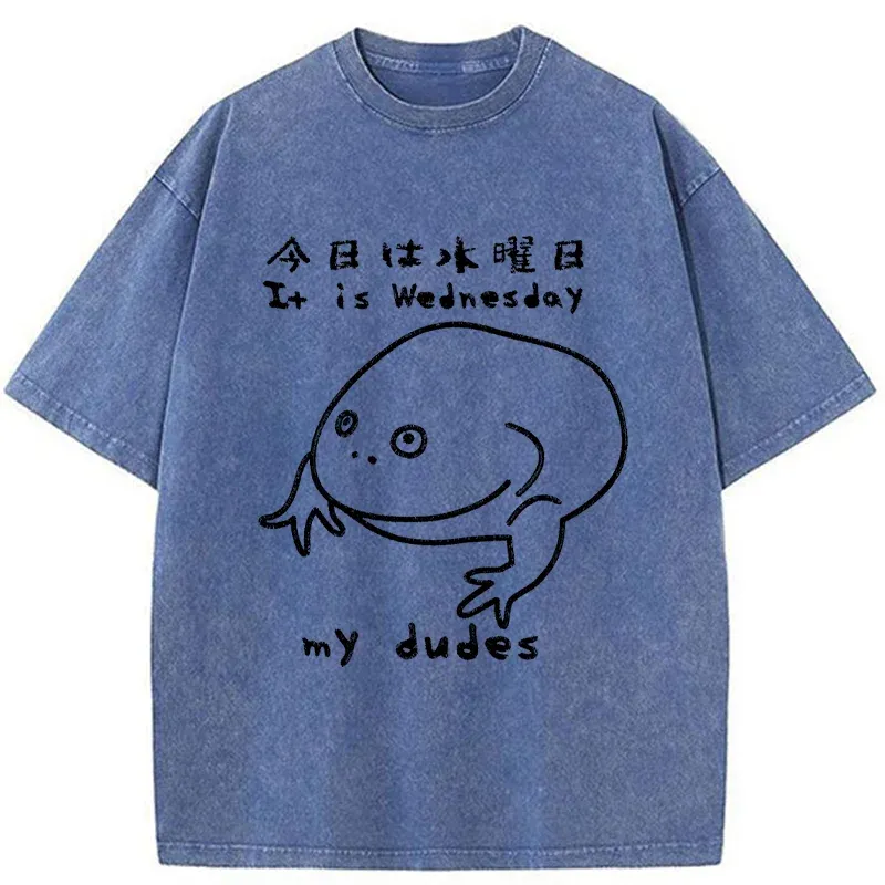 Tokyo-Assassin Today Is Wednesday Washed T-Shirt-Tokyo-Assassin