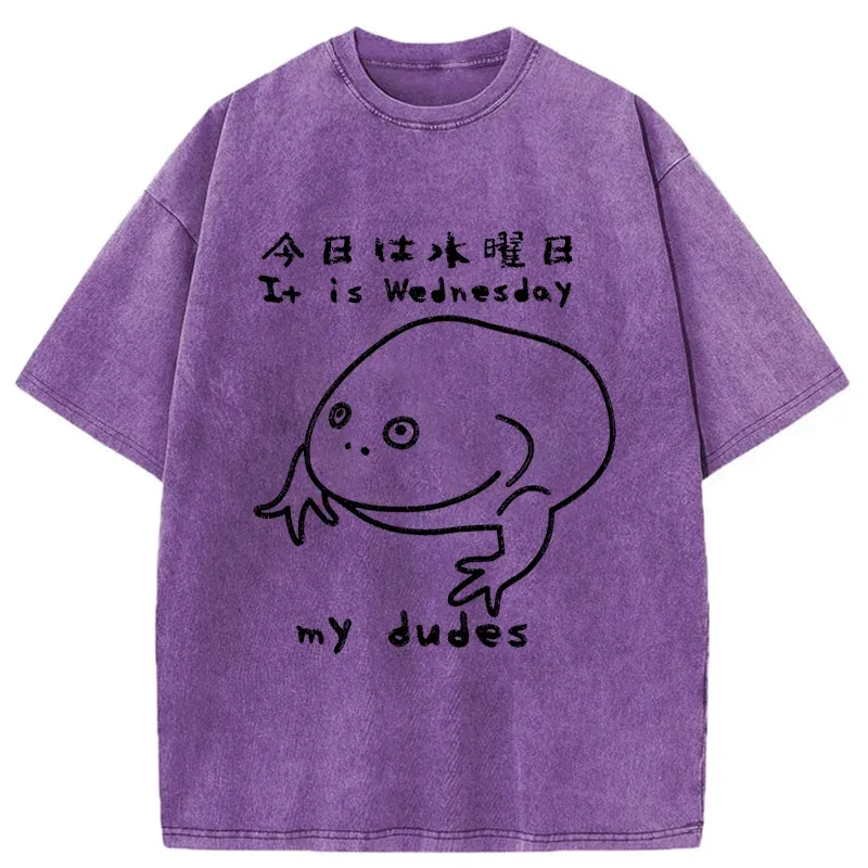 Tokyo-Assassin Today Is Wednesday Washed T-Shirt-Tokyo-Assassin