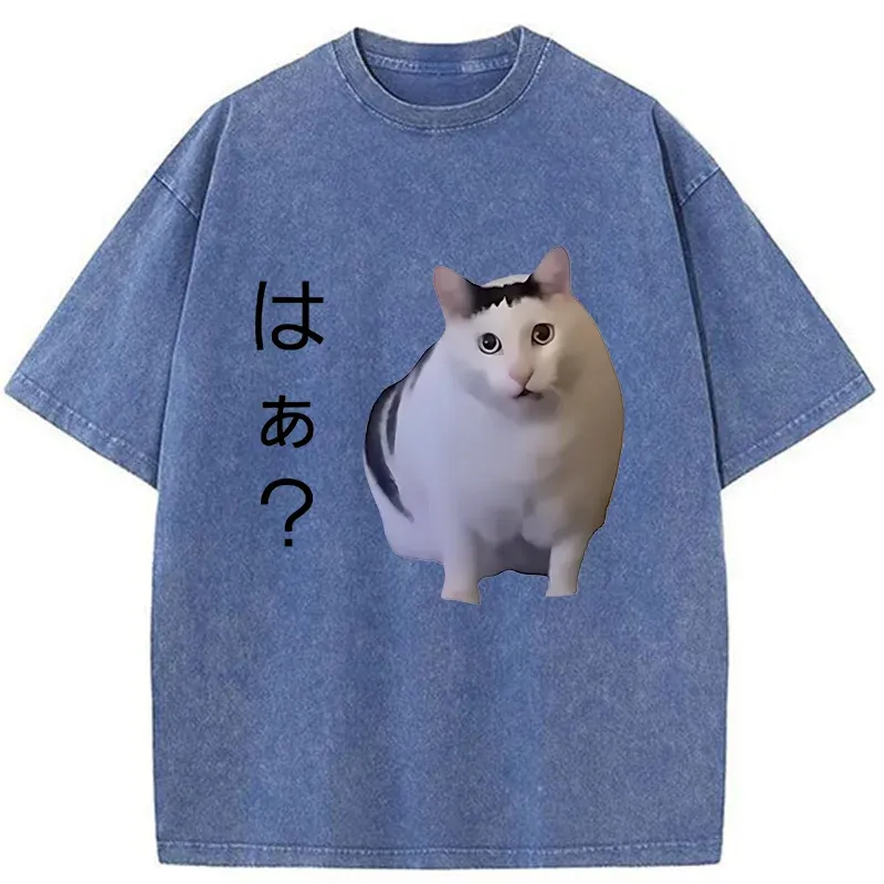 Tokyo-Assassin Suspicious Funny Cat Washed T-Shirt-Tokyo-Assassin