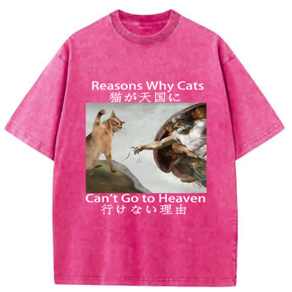 Tokyo-Assassin Naughty Cat Can't Go To Heaven Washed T-Shirt-Tokyo-Assassin