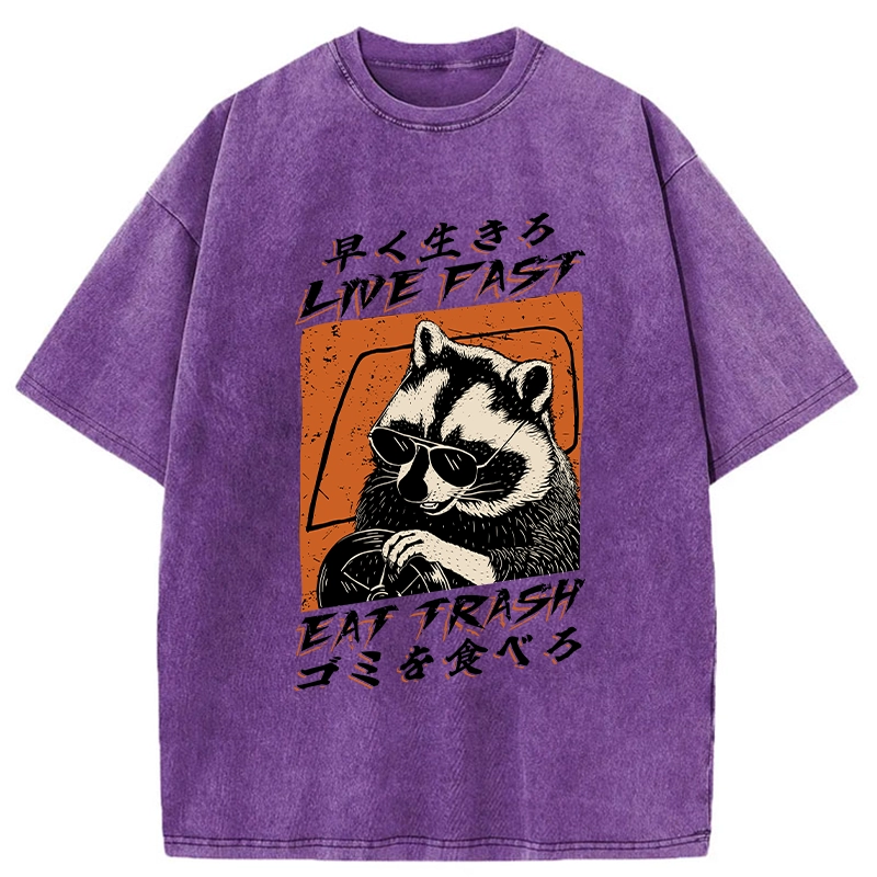 Tokyo-Assassin Raccoon Live Fast Eat Trash Washed T-Shirt-Tokyo-Assassin