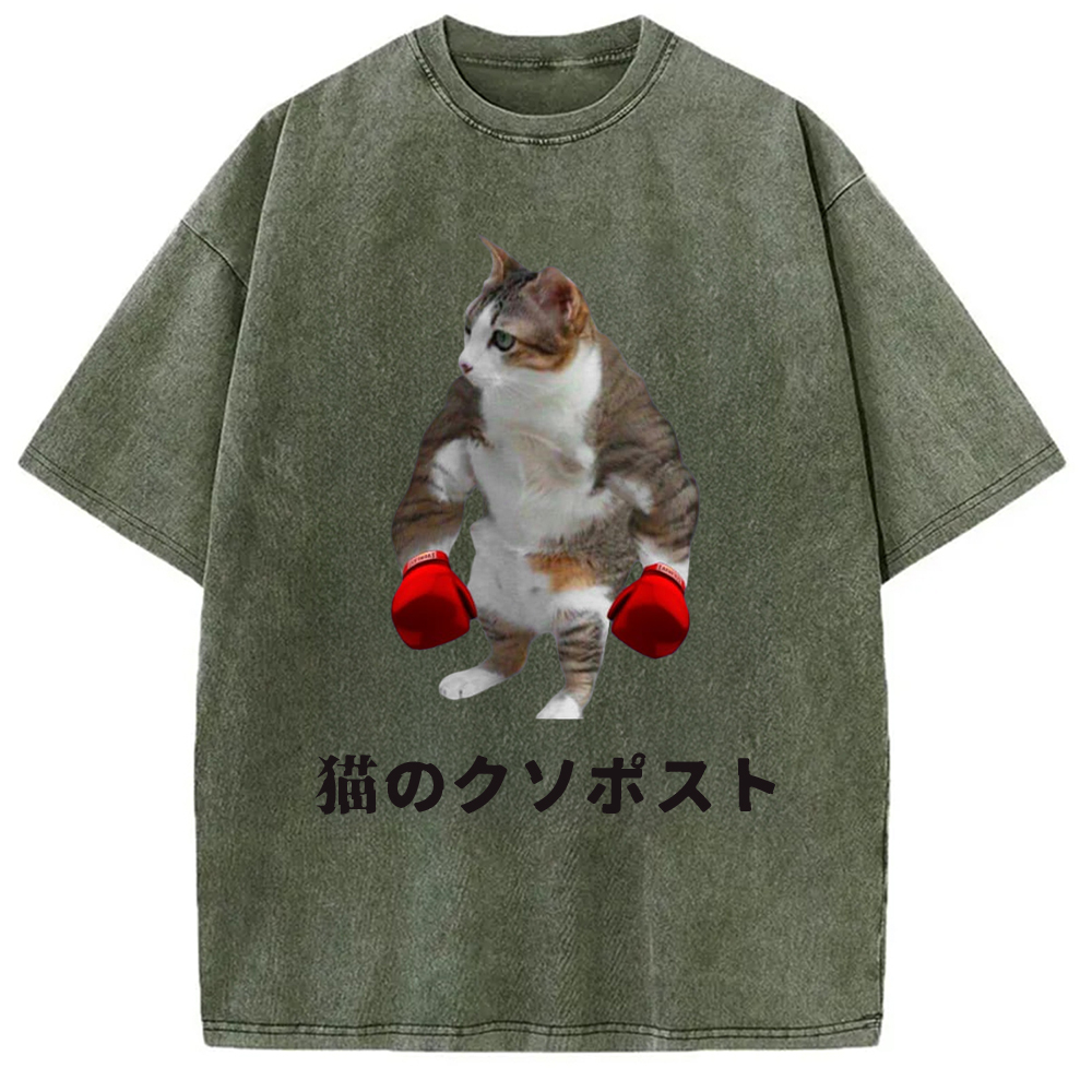 Tokyo-Assassin Cat Shitpost Meme Washed T-Shirt-Tokyo-Assassin