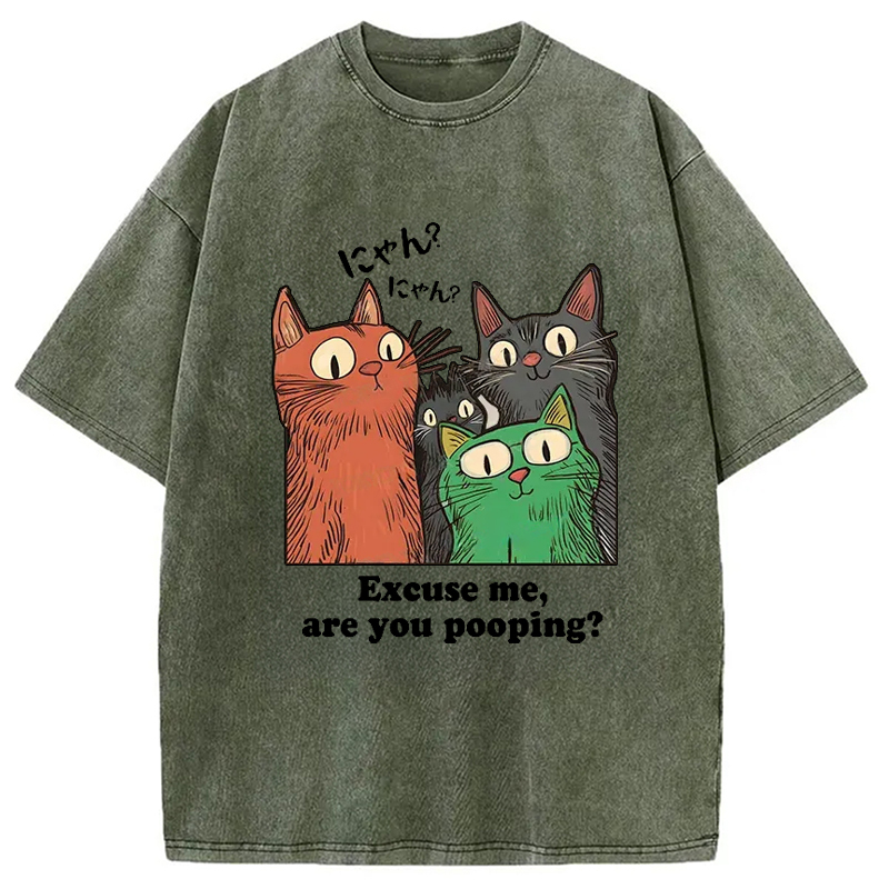 Tokyo-Assassin Cats Watching Poop Washed T-Shirt-Tokyo-Assassin