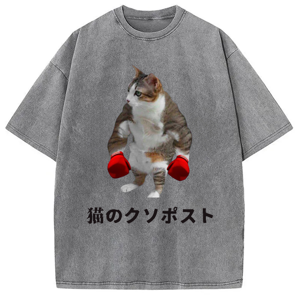 Tokyo-Assassin Cat Shitpost Meme Washed T-Shirt-Tokyo-Assassin