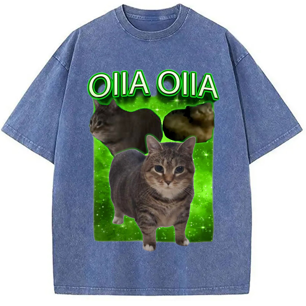 Tokyo-Assassin Oiia Cat Funny Meme Washed T-Shirt-Tokyo-Assassin