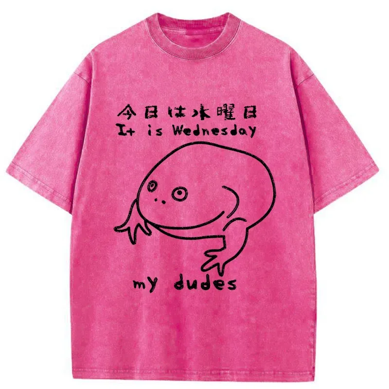 Tokyo-Assassin Today Is Wednesday Washed T-Shirt-Tokyo-Assassin
