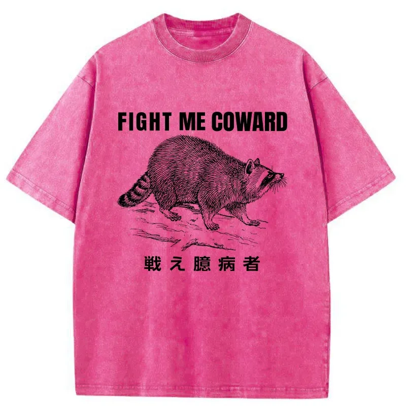 Tokyo-Assassin Fight Raccoon Japanese Washed T-Shirt-Tokyo-Assassin